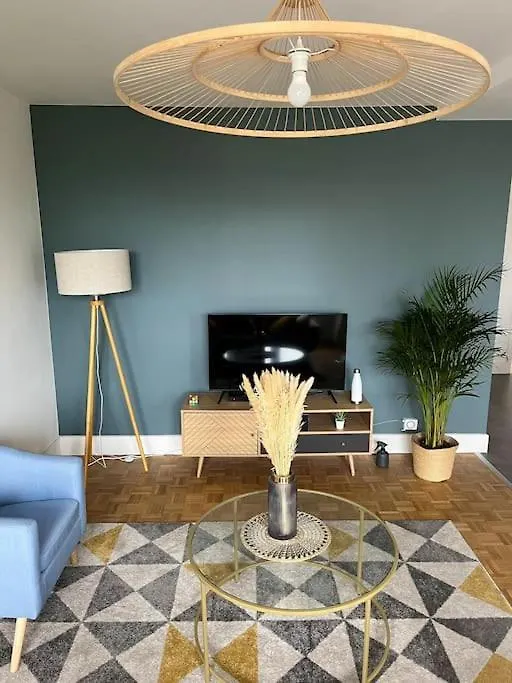 Chambre Privee Dans Un Appartement Partage Villeurbanne Francia