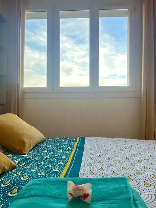 Chambre Privee Dans Un Appartement Partage Villeurbanne Francia